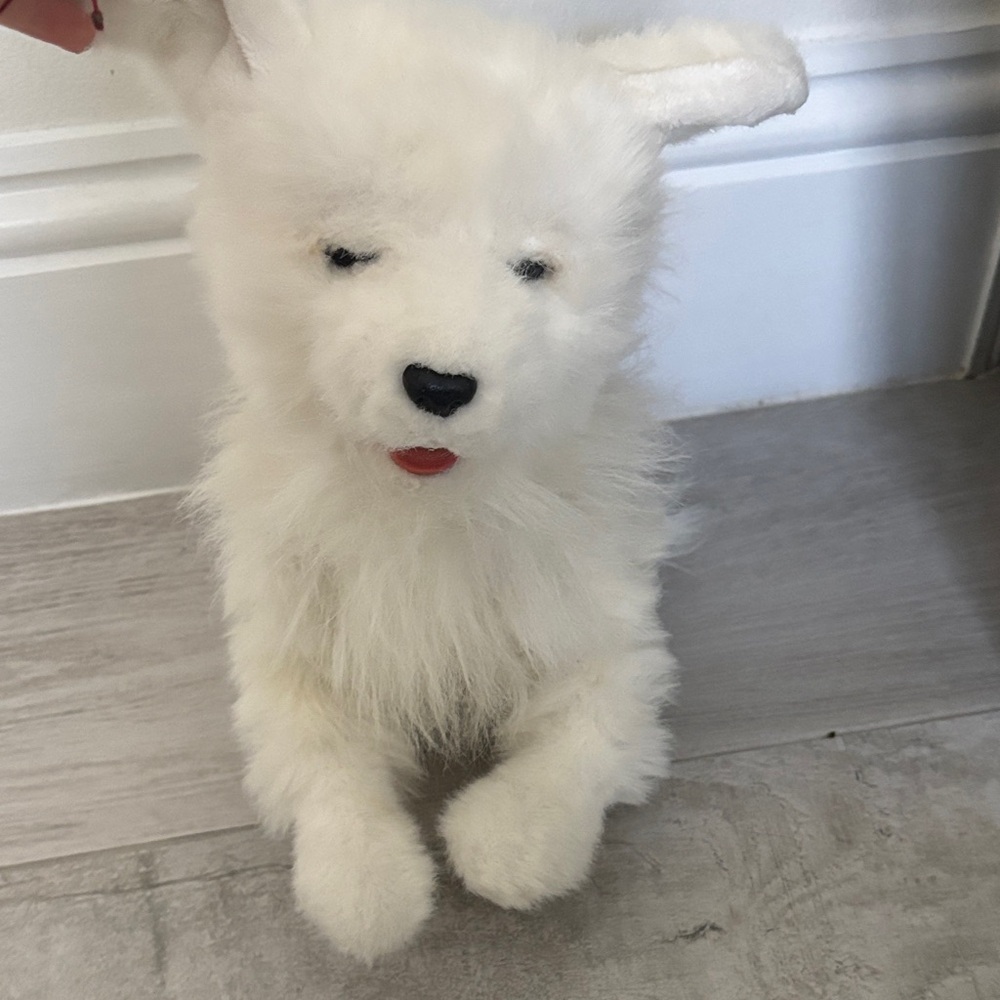 scamps my loving pup , UNTESTED!!!